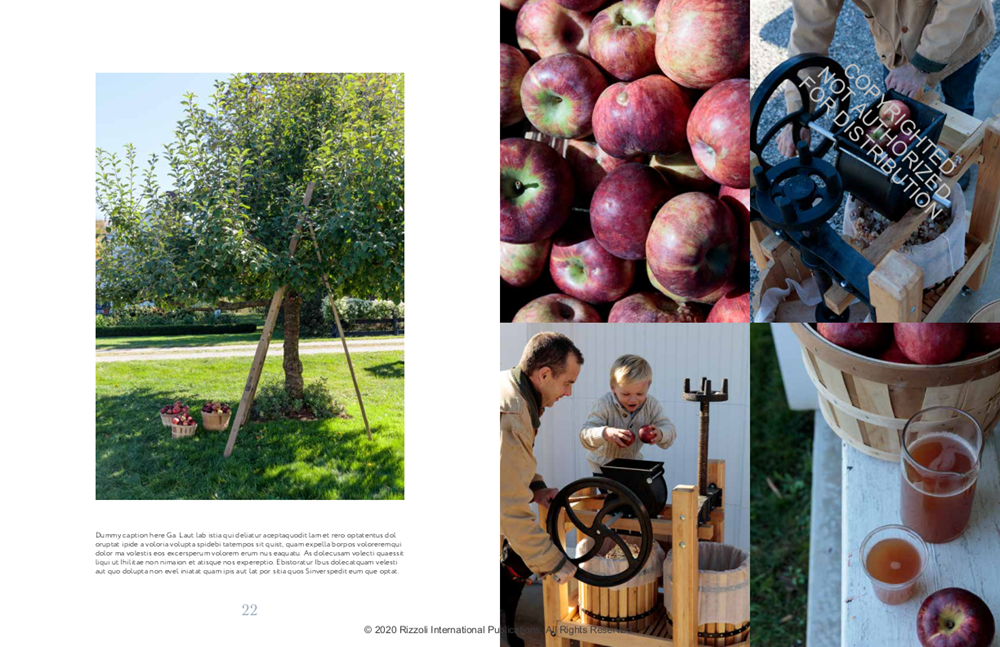 A Year at Clove Brook Farm