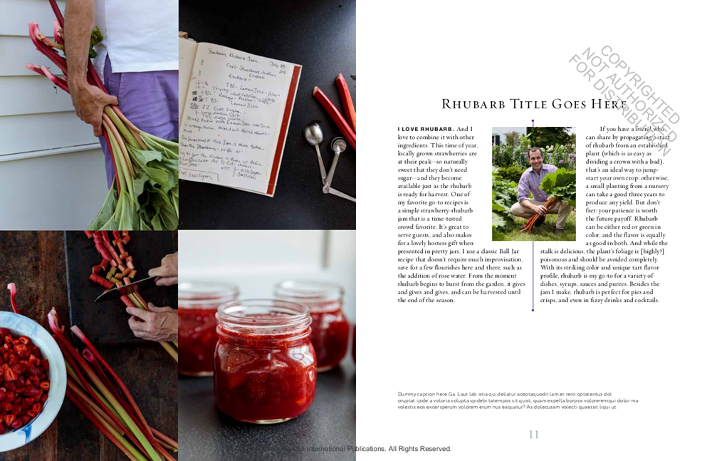 A Year at Clove Brook Farm