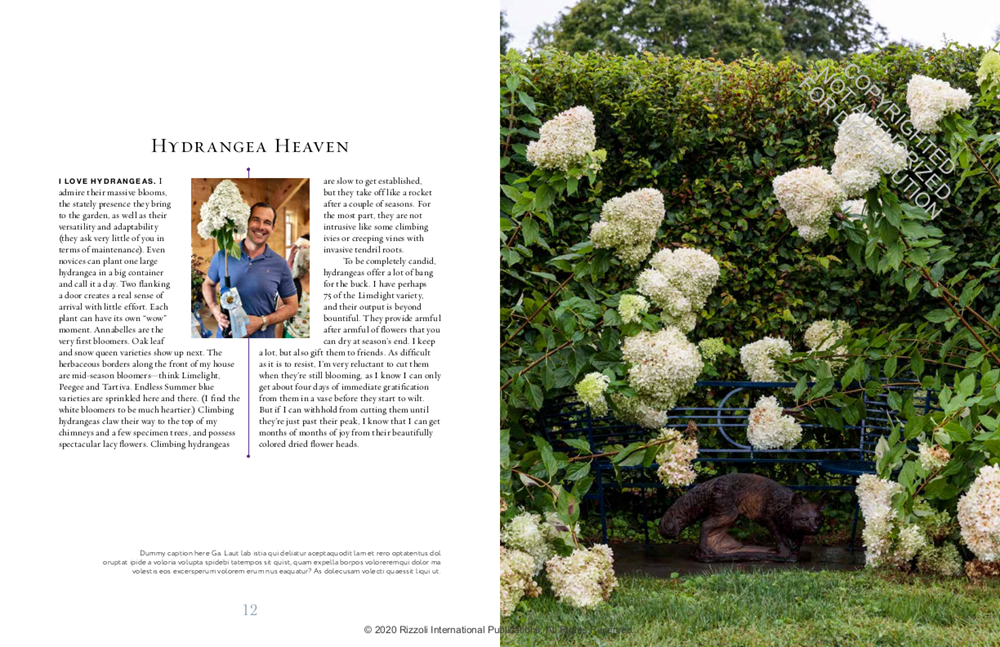 A Year at Clove Brook Farm