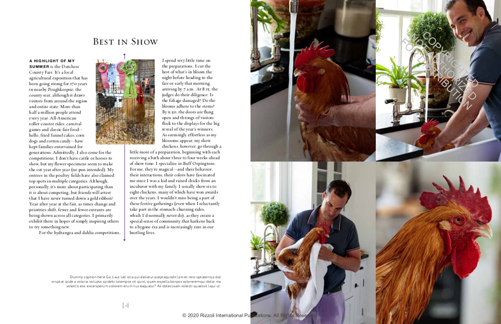 A Year at Clove Brook Farm