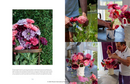 A Year at Clove Brook Farm