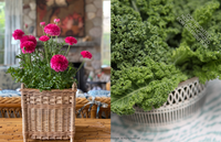 Charlotte Moss Flowers