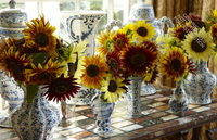 Charlotte Moss Flowers