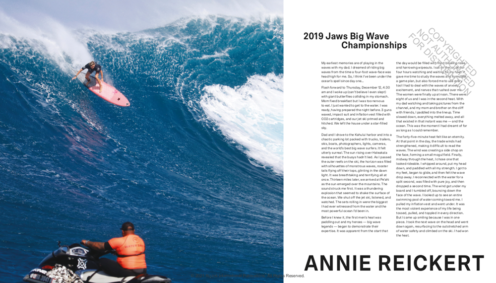 Big Wave Surfer