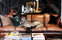 Ralph Lauren A Way of Living: Home, Design, Inspiration
