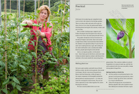 A Year in the Edible Garden