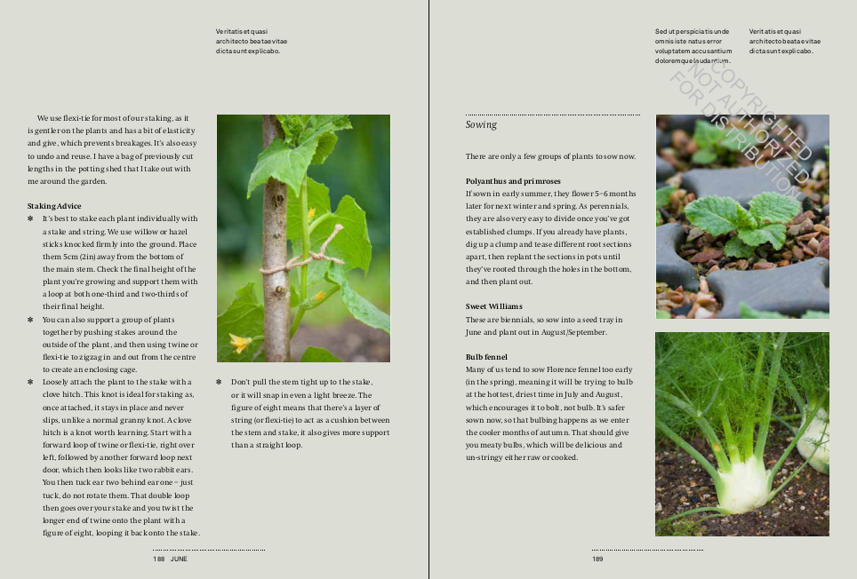 A Year in the Edible Garden