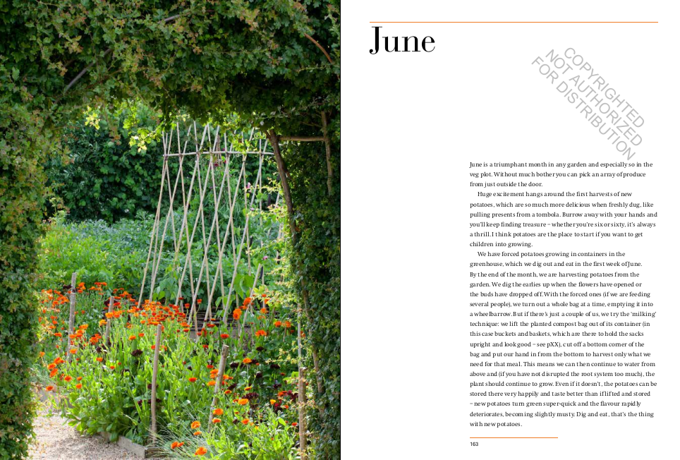 A Year in the Edible Garden