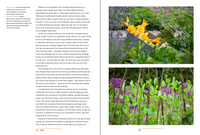 A Year in the Edible Garden