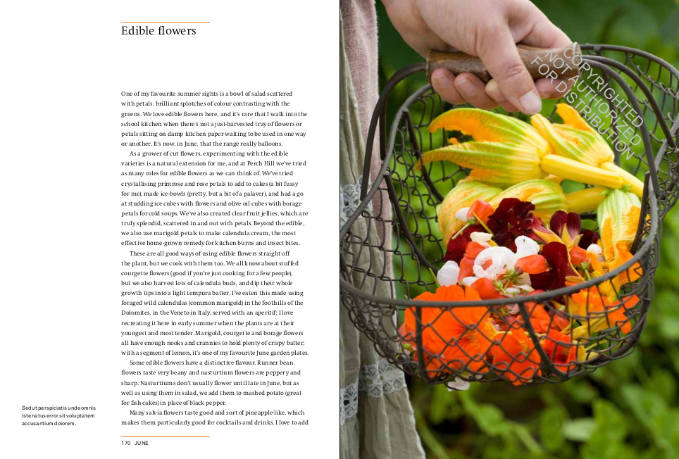 A Year in the Edible Garden