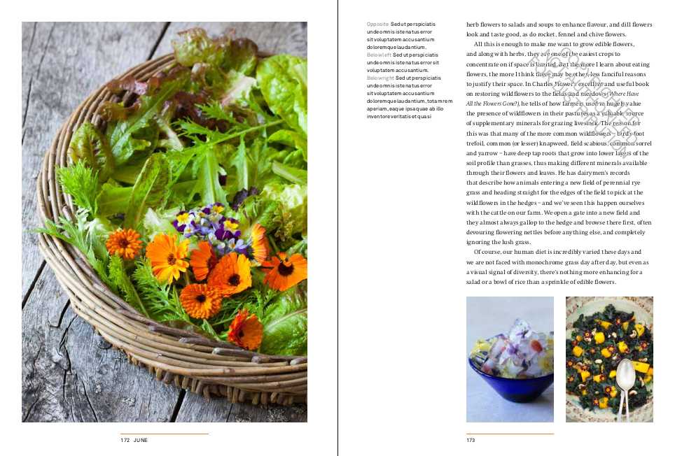 A Year in the Edible Garden