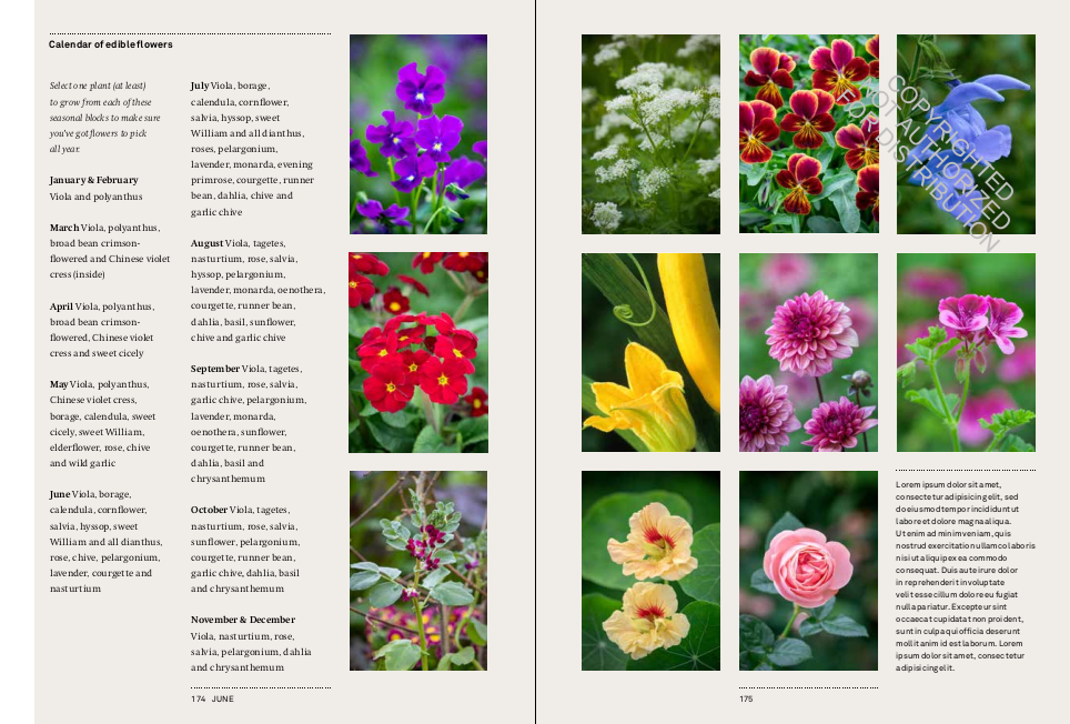 A Year in the Edible Garden