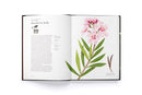 The Story of Flowers