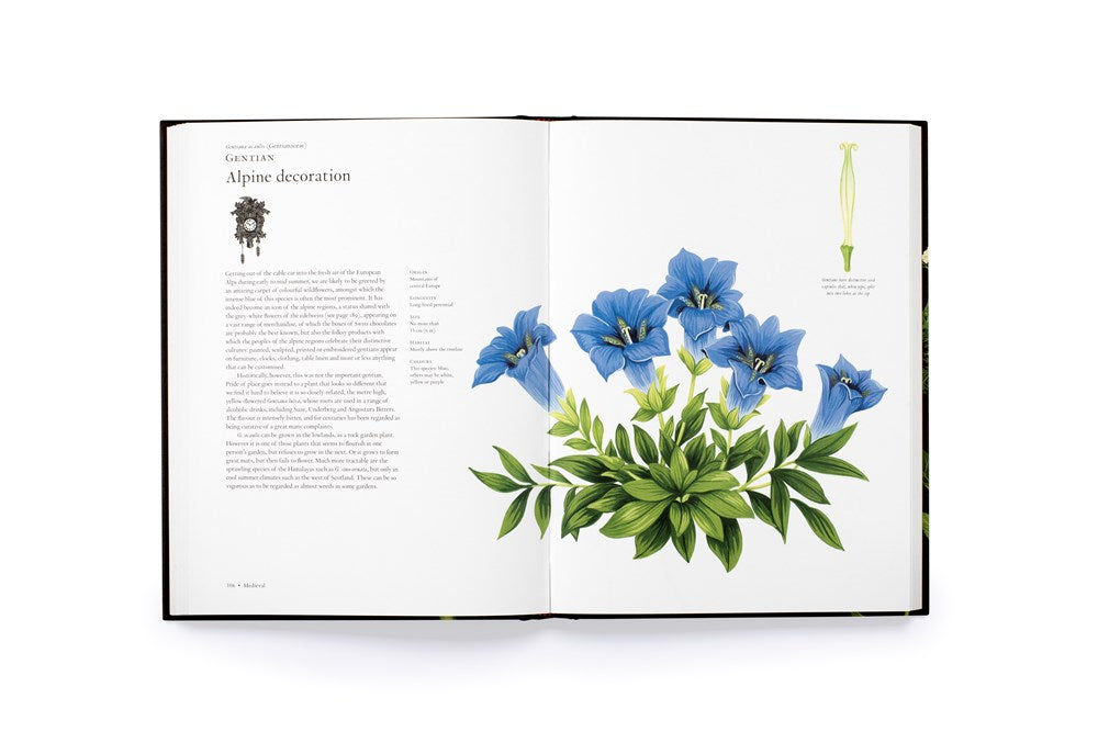 The Story of Flowers