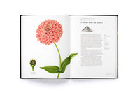 The Story of Flowers