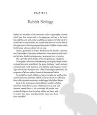 Raising Rabbits for Meat