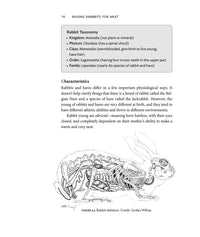 Raising Rabbits for Meat