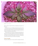 DIY Autoflowering Cannabis