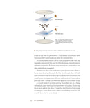 DIY Autoflowering Cannabis