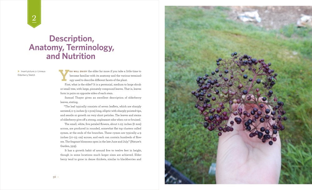 The Elderberry Book