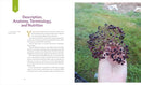 The Elderberry Book