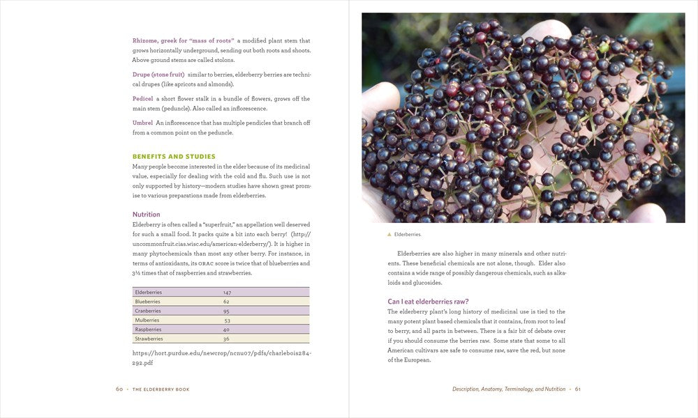The Elderberry Book