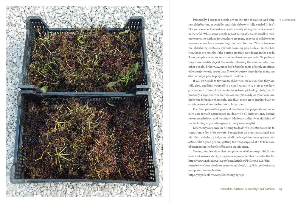 The Elderberry Book