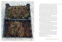 The Elderberry Book
