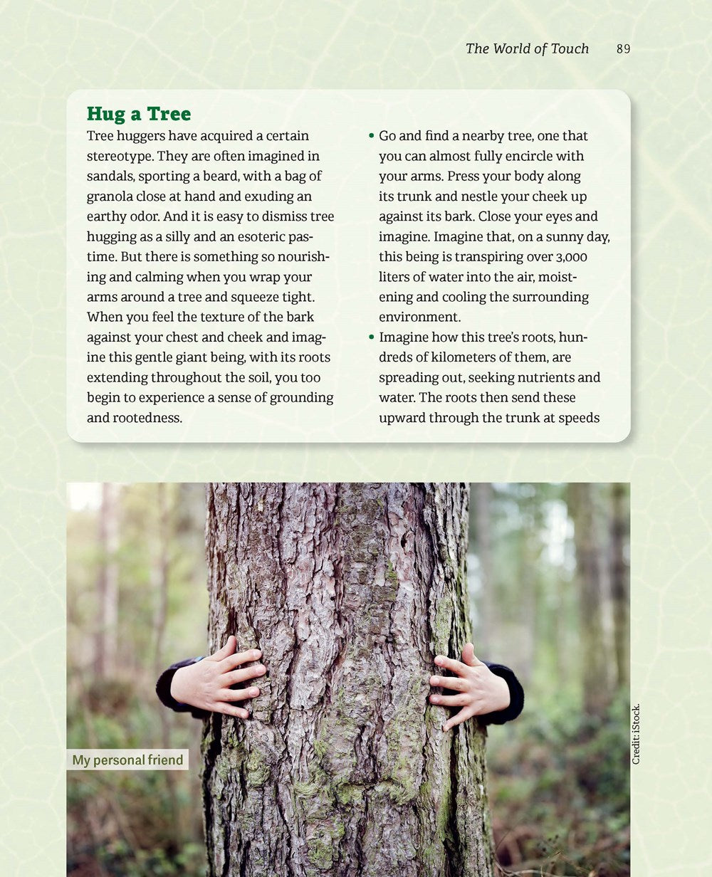 The Book of Nature Connection