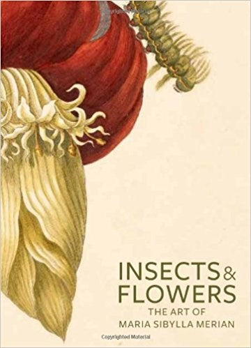 Insects and Flowers