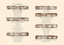 The Complete Illustrated Kama Sutra