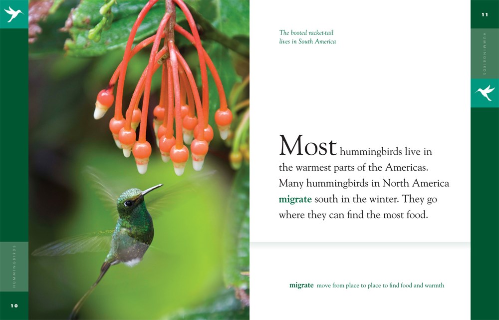 Amazing Animals: Hummingbirds