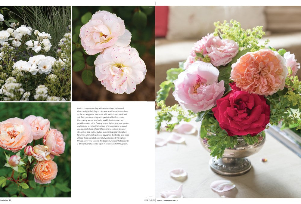 Living with Roses