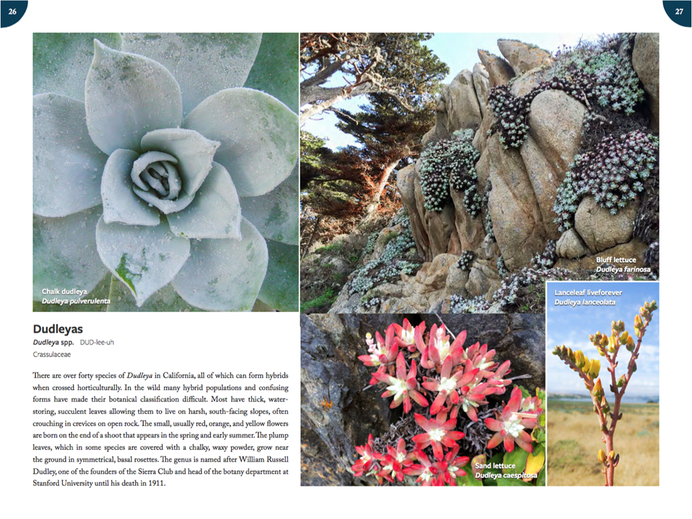 California Plants