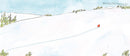 Wolf in the Snow