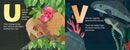 A Is for Axolotl: An Unusual Animal ABC