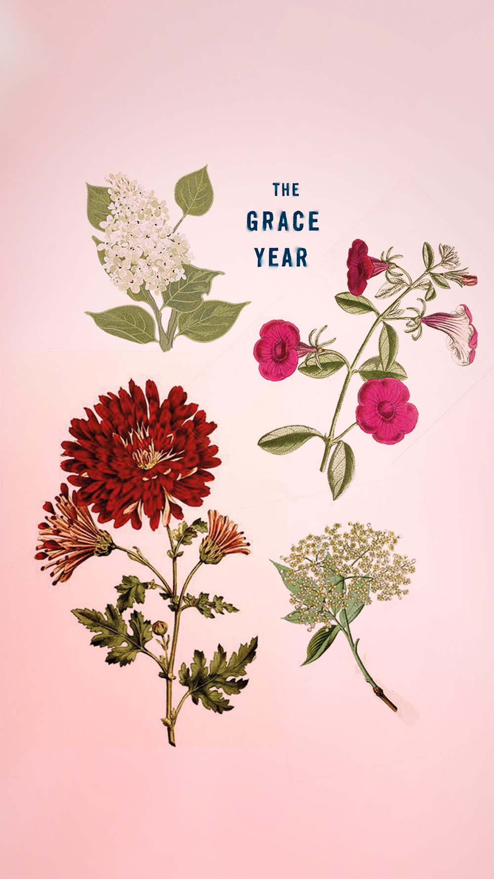 Grace Year