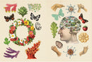 The Antiquarian Sticker Book: Over 1,000 Exquisite Victorian Stickers