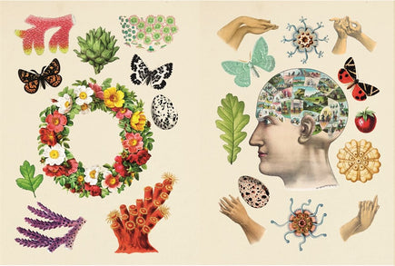 The Antiquarian Sticker Book: Over 1,000 Exquisite Victorian Stickers