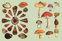 The Antiquarian Sticker Book: Over 1,000 Exquisite Victorian Stickers