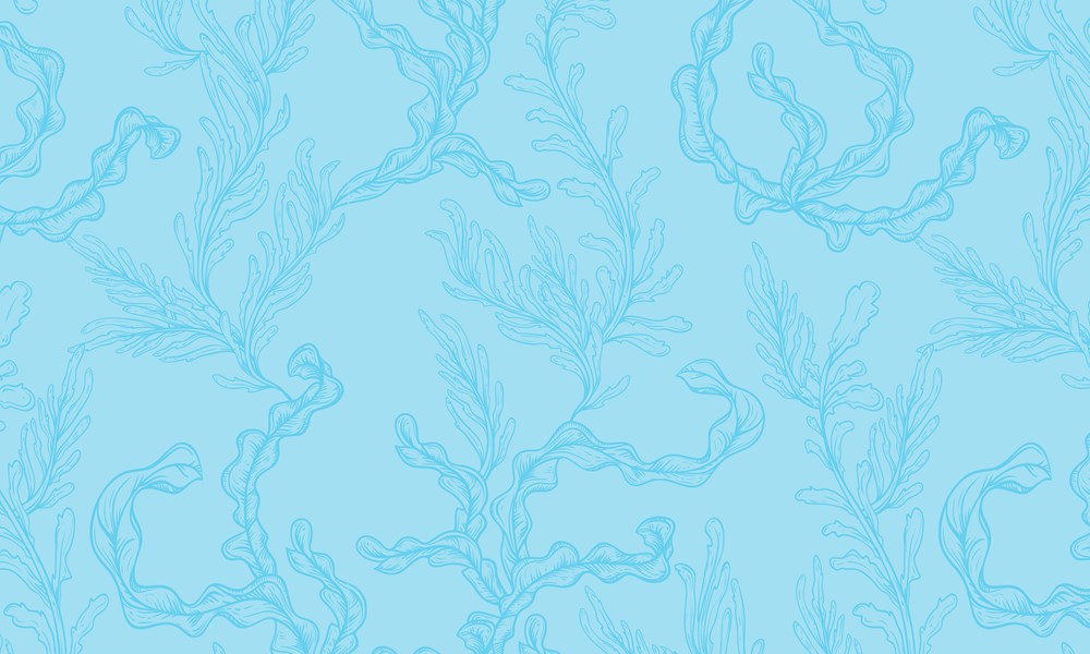 Sticker Studio: Atlantis