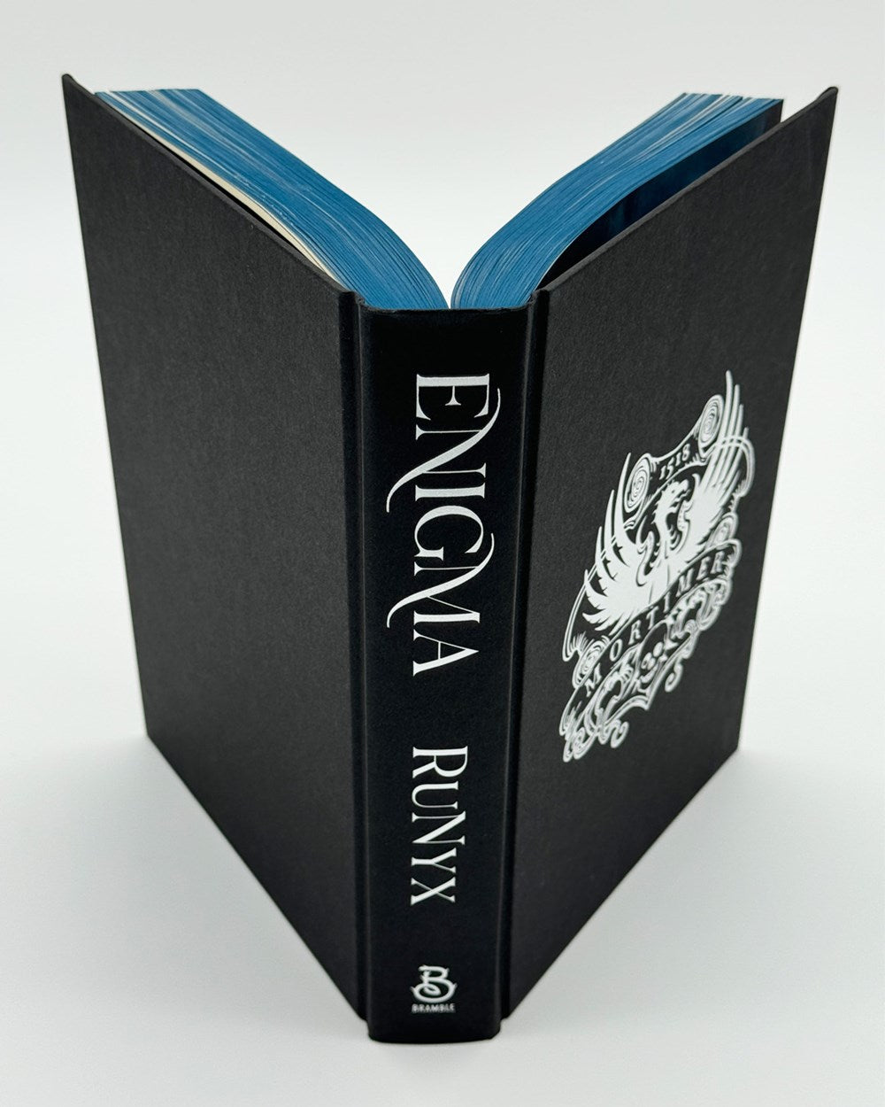 Enigma: A Dark Academia Romance
