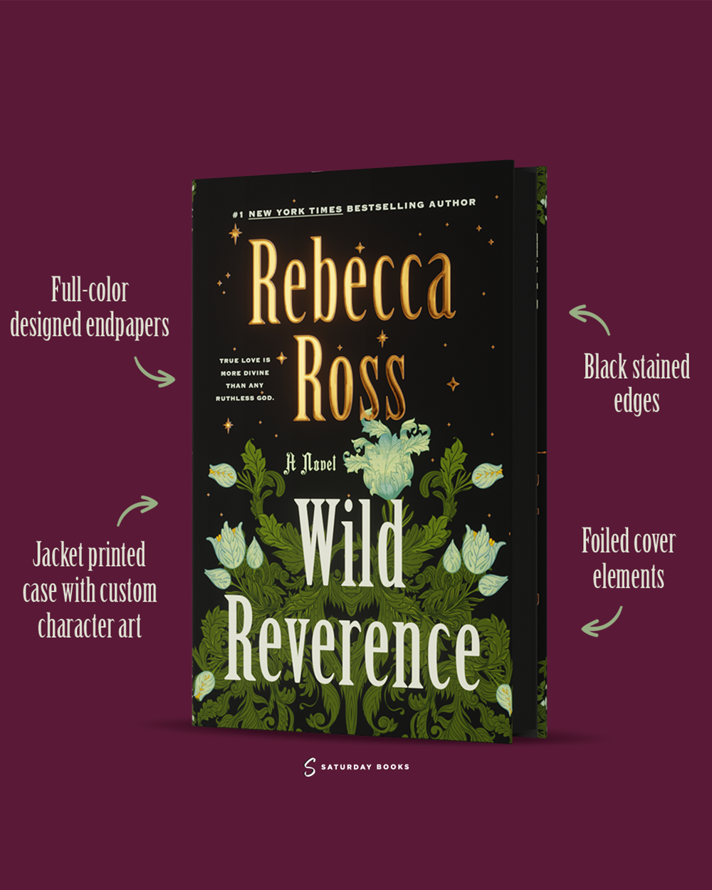 Wild Reverence: A Novel