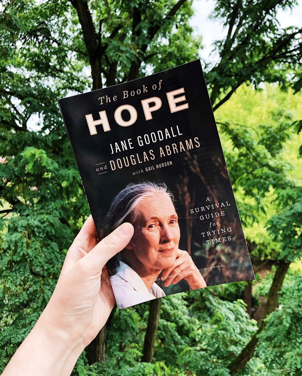 The Book of Hope: A Survival Guide for Trying Times (Global Icons Series)