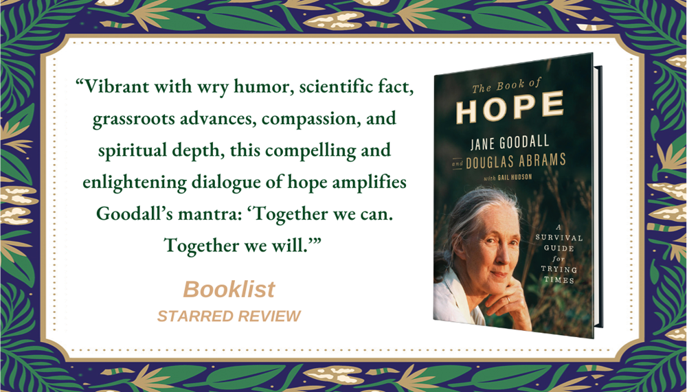 The Book of Hope: A Survival Guide for Trying Times (Global Icons Series)