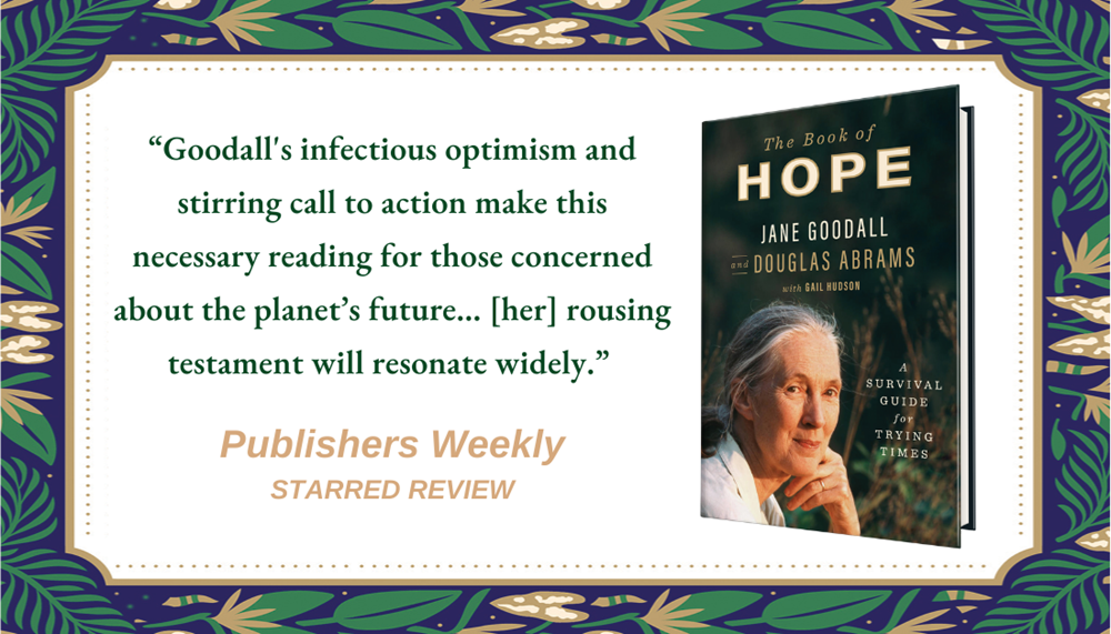 The Book of Hope: A Survival Guide for Trying Times (Global Icons Series)