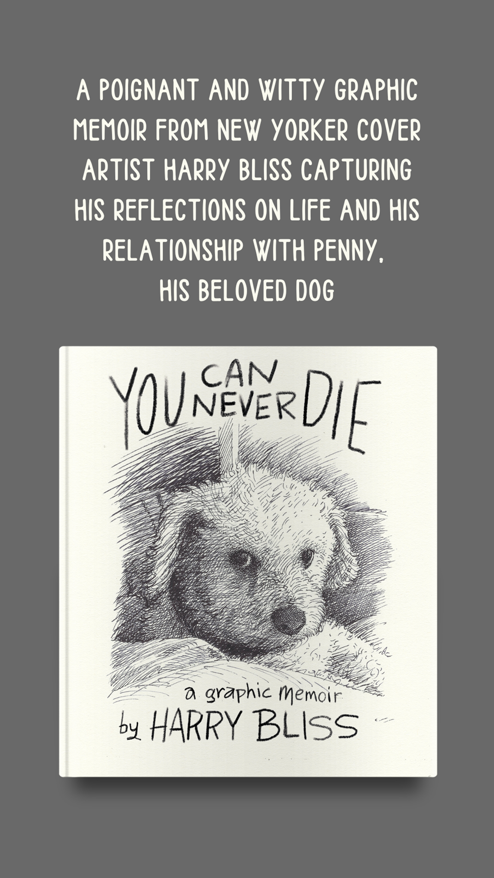 You Can Never Die: A Graphic Memoir