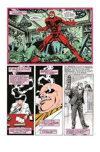 Daredevil: Born Again [Marvel Premier Collection]