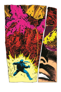 Daredevil: Born Again [Marvel Premier Collection]