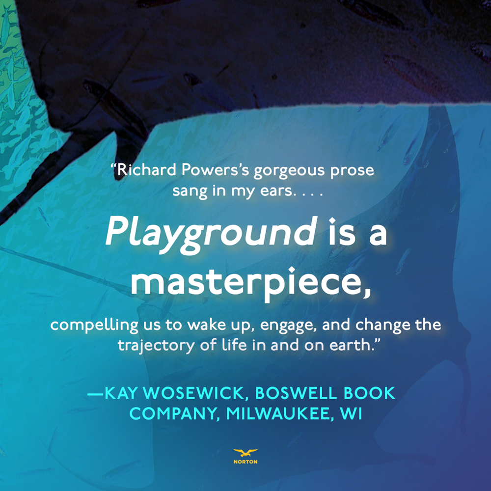 Playground: A Novel